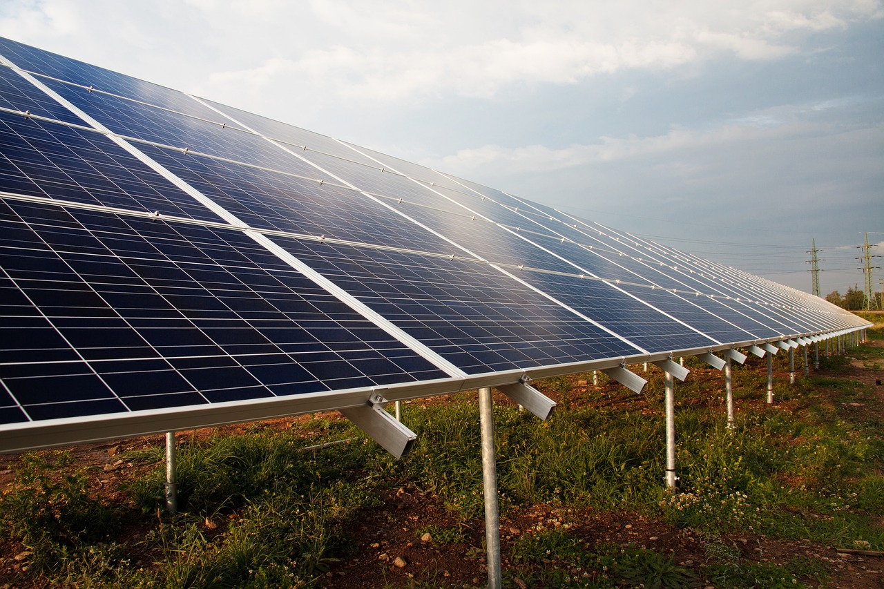 How to Encourage Your Kids to Live Sustainably?